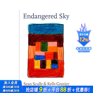 【预售】濒危的天空：肖恩-斯卡利和凯莉-格罗维耶 Endangered Sky: Sean Scully & Kelly Grovier 英文艺术画册画集 正版进口书