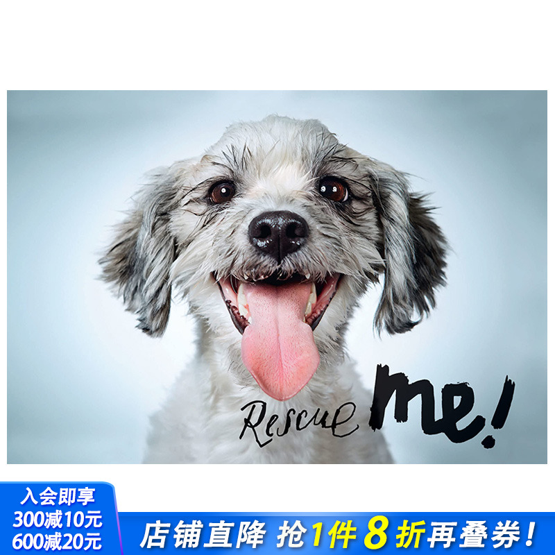 【现货】英文原版 拯救我：纽约的狗狗收养肖像和故事 Rescue Me: Dog Adoption Portraits and Stories from New York City