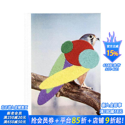【现货】朱莉·考克伯恩摄影集：爱管闲事 Julie Cockburn：Stickybeak英文原版进口