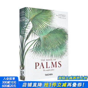 TASCHEN40周年 善优图书 进口 现货 英文原版 Palms Martius. 马修斯：棕榈书 正版 The 艺术画册 Book
