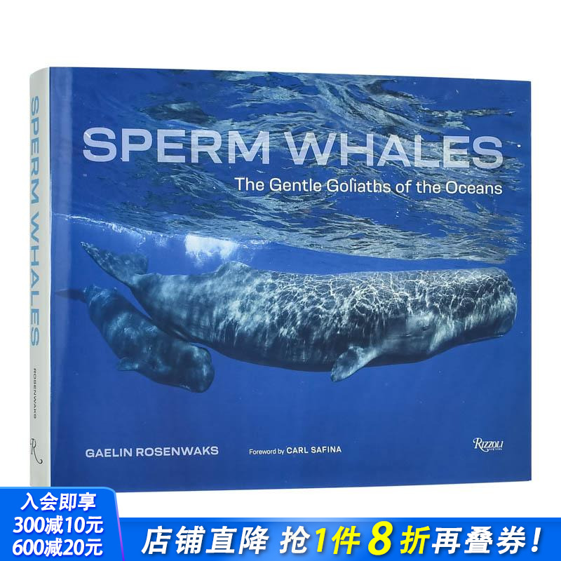 抹香鲸: 海洋中温柔的歌利亚