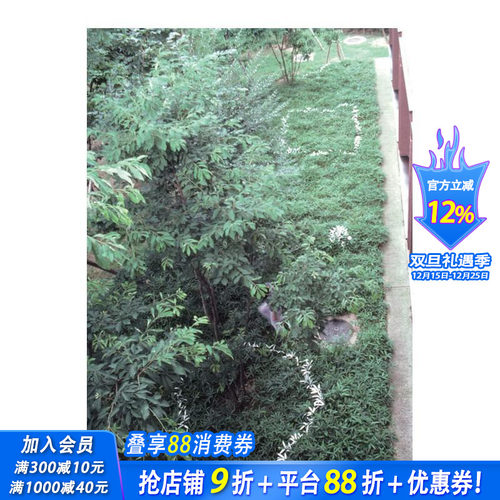 日本雕塑家菅木志雄：文集 第2