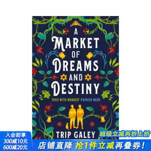 Dreams 英文小说 美梦集市 原版 Destiny And Market 预售
