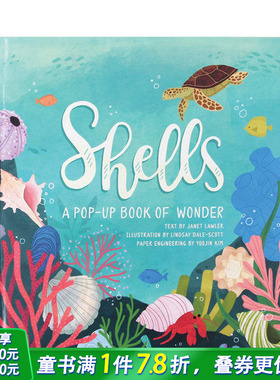 【预售】英文原版 【四季立体书】贝壳：夏日4 Seasons Shells: A Summer Pop-Up Book  精装艺术插画绘本 进口儿童书