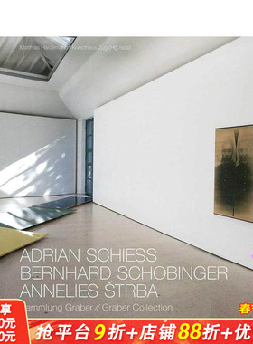 【预售】国际知名瑞士艺术家藏品集 Adrian Schiess - Bernhard Schobinger - Annelies Strba  原版英文艺术画册画集 正版进口书