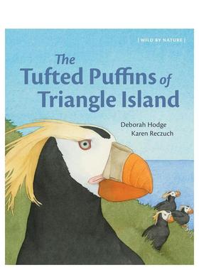 【现货】三角岛的簇羽海鹦 The Tufted Puffins of Triangle Island 英文儿童插画故事绘本 进口童书