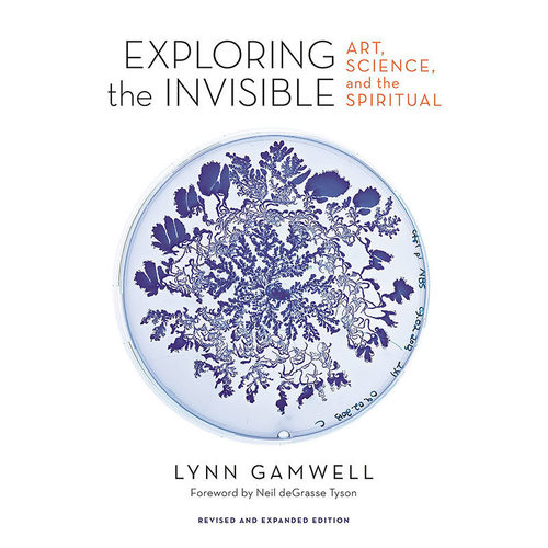 【现货】探索无形：艺术、科学和精神 Exploring the Invisible: Art,Science,and the Spiritual 英文艺术画册进口书Lynn Gamwell