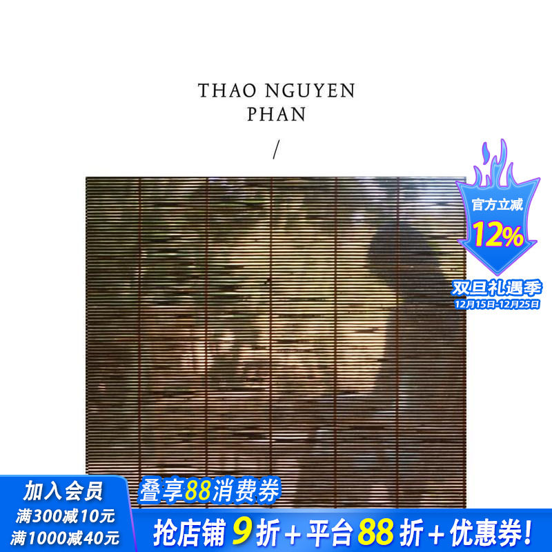 潘涛阮：影子的轮回 Thao