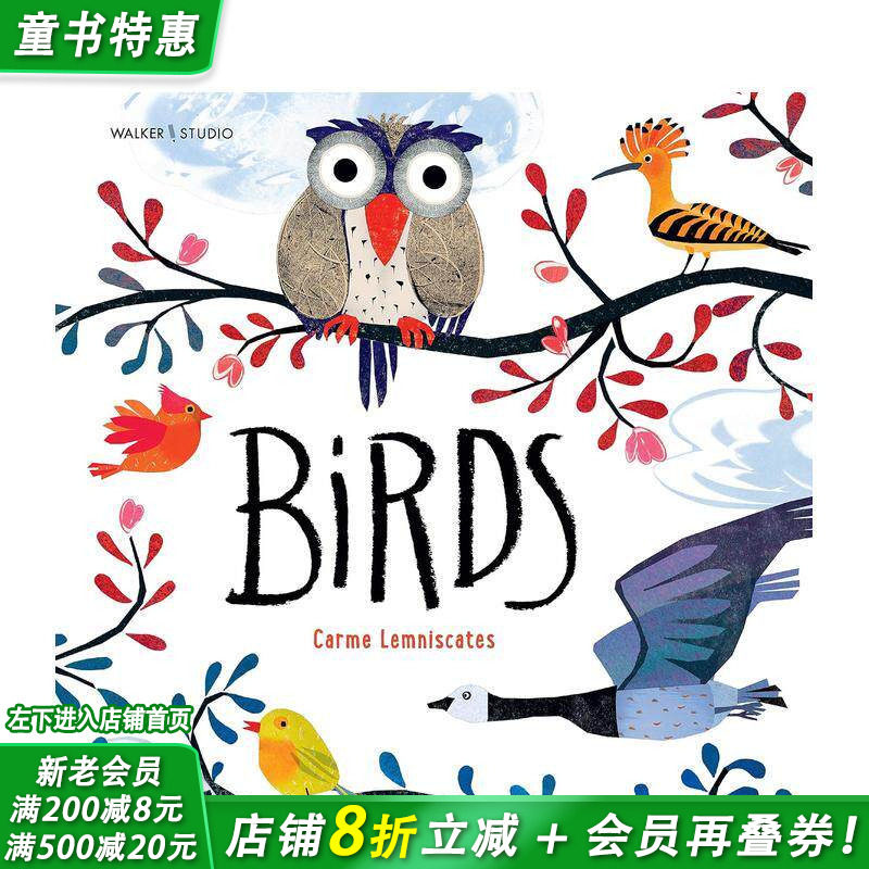 【现货】小鸟 Birds 英文儿童插画科普故事绘本 进口童书