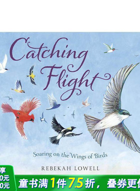 【预售】英文原版 抓紧时间飞行 Catching Flight  跟鸟类学勇气坚强 精装艺术插画绘本 3岁+儿童英语进口图书 善优童书