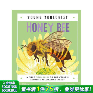 蜜蜂 Young 英文儿童插画科普绘本 预售 英语进口童书英语进口童书 Bee 小动物学家 Honey Zoologist