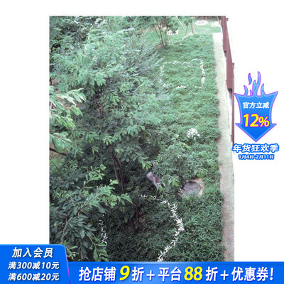 【现货】日本雕塑家菅木志雄：文集 第2卷 1980-1989 Kishio Suga: Writings  Vol. 2  1980–1989 原版英文艺术画册 正版进口书