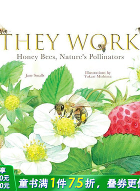 【现货】他们的工作：蜜蜂 大自然的授粉者 They Work:Honey Bees  Nature's Pollinators 英文儿童插画绘本 趣味科普 进口童书