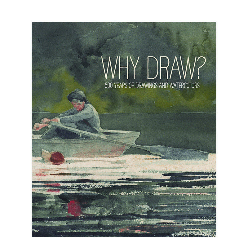 【现货】Why Draw?为什么画画 从Bowdoin学院500年的绘画和水彩画英文原版艺术入门画册