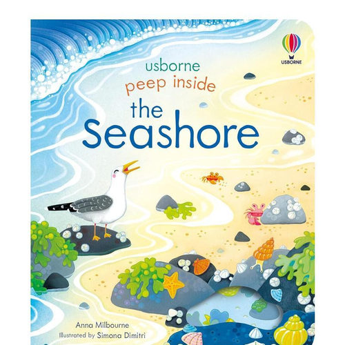 【现货】纸板书 英文原版绘本  海岸the Seashore 3-6岁儿童海洋探索趣味科普知识洞洞书绘本  纸板书 英文绘本系列【善优童书】