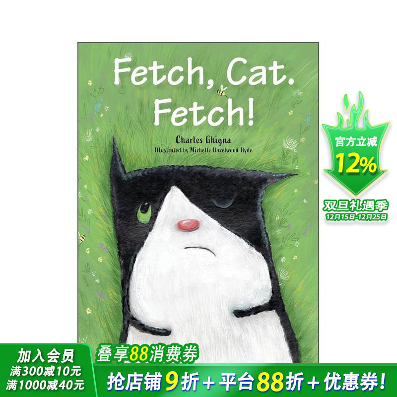 去捡回来，猫咪，去捡！ Fet