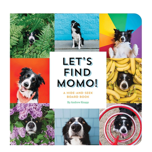 【现货多款选拍】Lets Find Momo寻找莫莫:捉迷藏/在户外+魔法镜子系列:寻物探索镜面认识自我 英文儿童趣味早教互动探索进口书