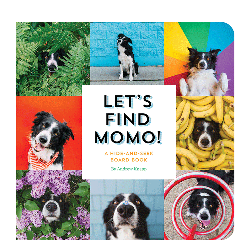 【现货多款选拍】Lets Find Momo寻找莫莫：捉迷藏/在户外+魔法镜子系列：寻物探索镜面认识自我 英文儿童趣味早教互动探索进口书