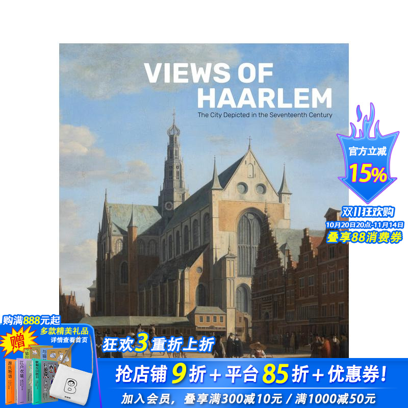 哈勒姆景观:17世纪描绘的城市