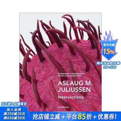 【预售】阿斯劳格?M?尤利乌森：交汇点 Aslaug M. Juliussen : Intersections 原版英文艺术画册画集 正版进口书