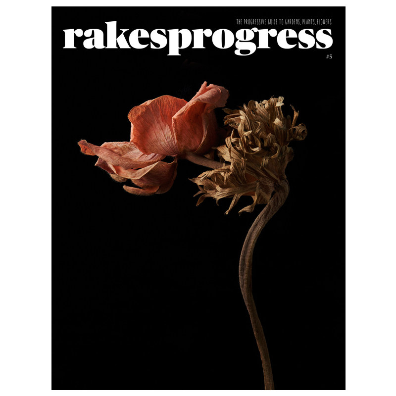 订阅 rakes progress 园林植物花卉生活杂志 英国英文原版 年订2期 E307 年订2期