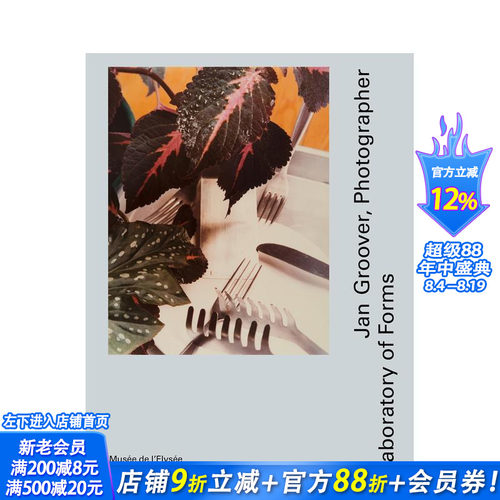 简?格鲁弗：形式实验室 Jan