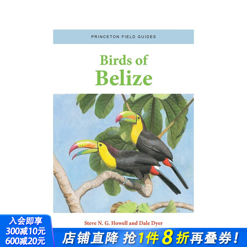 伯利兹的鸟 Birds of