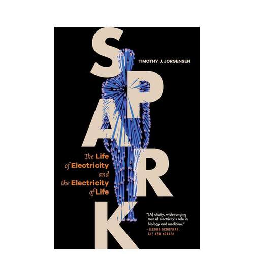 火花：论电的价值 Spark