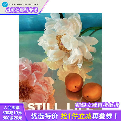 【预售】静静生活 20张明信片及信封 Still Life Notecards : 20 Notecards and Envelopes 原版明信片 正版进口书