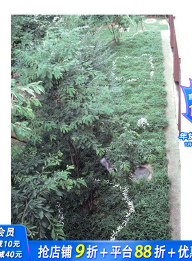 【现货】日本雕塑家菅木志雄：文集 第2卷 1980-1989 Kishio Suga: Writings  Vol. 2  1980–1989 原版英文艺术画册 正版进口书