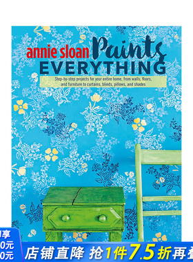 【现货】Annie Sloan Paints Everything 安妮·斯隆 画作无处不在  英文原版艺术