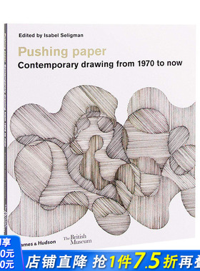【现货】Pushing paper 推纸：1970年至今的当代绘画 英文原版 现当代艺术