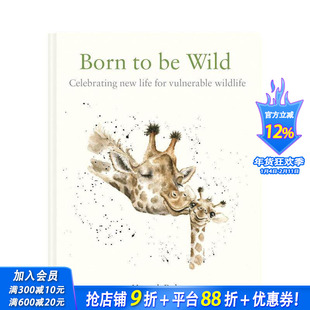 【现货】英文原版 生而为野:献给脆弱野生动物的新一代 Born to be Wild 自然科学 正版进口图书画册 善优图书