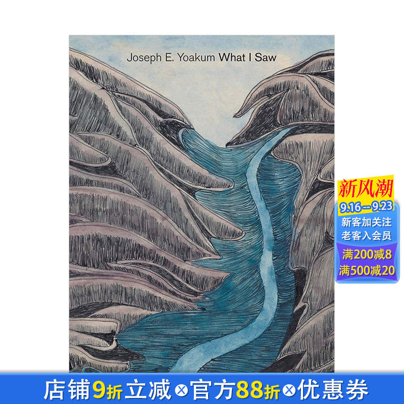 【现货】Joseph E. Yoakum: What I Saw 美国艺术家约瑟夫·e·尤库姆美术画册作品集 英文原版进口图书