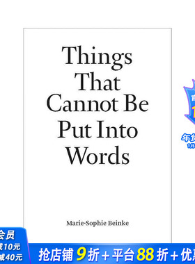 【预售】不可言说之物：玛丽-索菲·拜因克 Things That Cannot Be Put Into Words 英文艺术 正版进口书画册