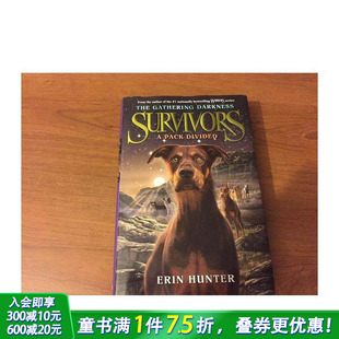 文原版 现货 Darkness The 图书籍进口正版 黑暗1 Pack Hunter 幸存者 Gathering 聚集 Survivors 儿童 Divided