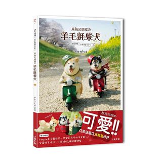 【现货】港台原版 网友赞爆！比本尊更可爱！呆萌又俏皮の羊毛毡柴犬 中文繁体手工制作 ＊ko-ko＊ 正版图书