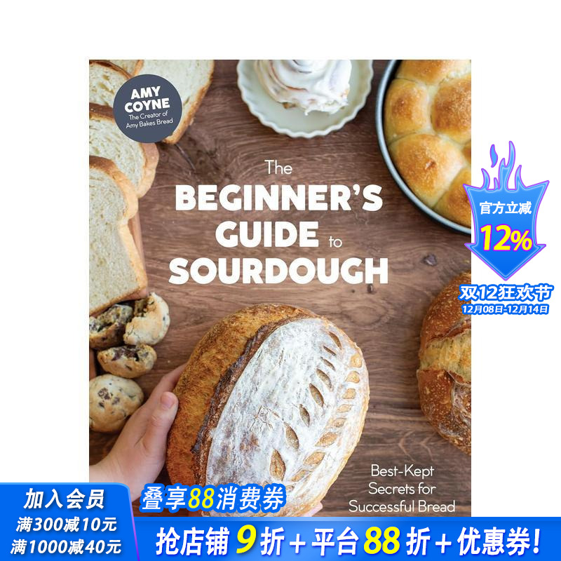 酸面包入门指南 The Beg