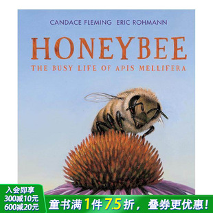 生活Honeybee Life 预售 蜜蜂：意大利蜜蜂忙碌 儿童英语 艺术插画绘本进口书 3岁 The 英文原版 Apis Busy 精装 Mellifera