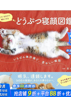【现货】动物睡颜图鉴：抓拍无防备、惹人怜爱的瞬间 どうぶつ寝顔図鉴 いちばん无防备で、爱おしい瞬间 日文艺术日本正版进口书