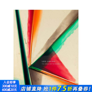 Leo Visible 现货 Amino：可见与不可见 英文艺术画册 进口书 原版 Amino 日裔美国艺术家Leo the and The 正版 Invisible