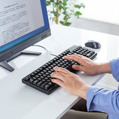 日本SANWA有线键盘USB电脑台式 笔记本办公商务游戏打字机械手感