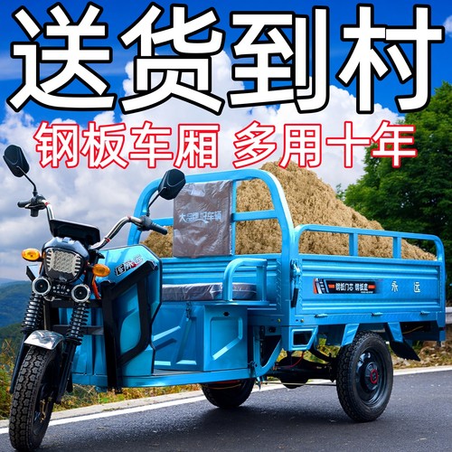 电动三轮车拉货农用家用可上牌摆摊新款老人保险丝电三轮电瓶车