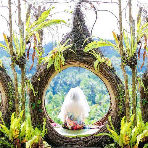 巴厘岛网红鸟巢户外拍照秋千创意藤编吊椅景区悬挂拍摄道具鸟巢,住宅家具,吊篮/吊椅,淘宝优惠券,粉丝福利购,淘宝优惠卷