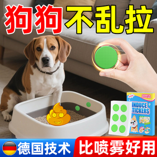 狗狗定点排便诱导剂狗大小便尿尿引诱剂训练狗上厕所神器防止乱拉