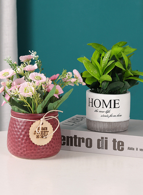 创意仿真绿植花卉桌面盆栽小摆件