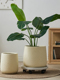 家庭客厅落地式 Monstera花盆大型斯堪 纳维亚简单 米色圆柱形绿