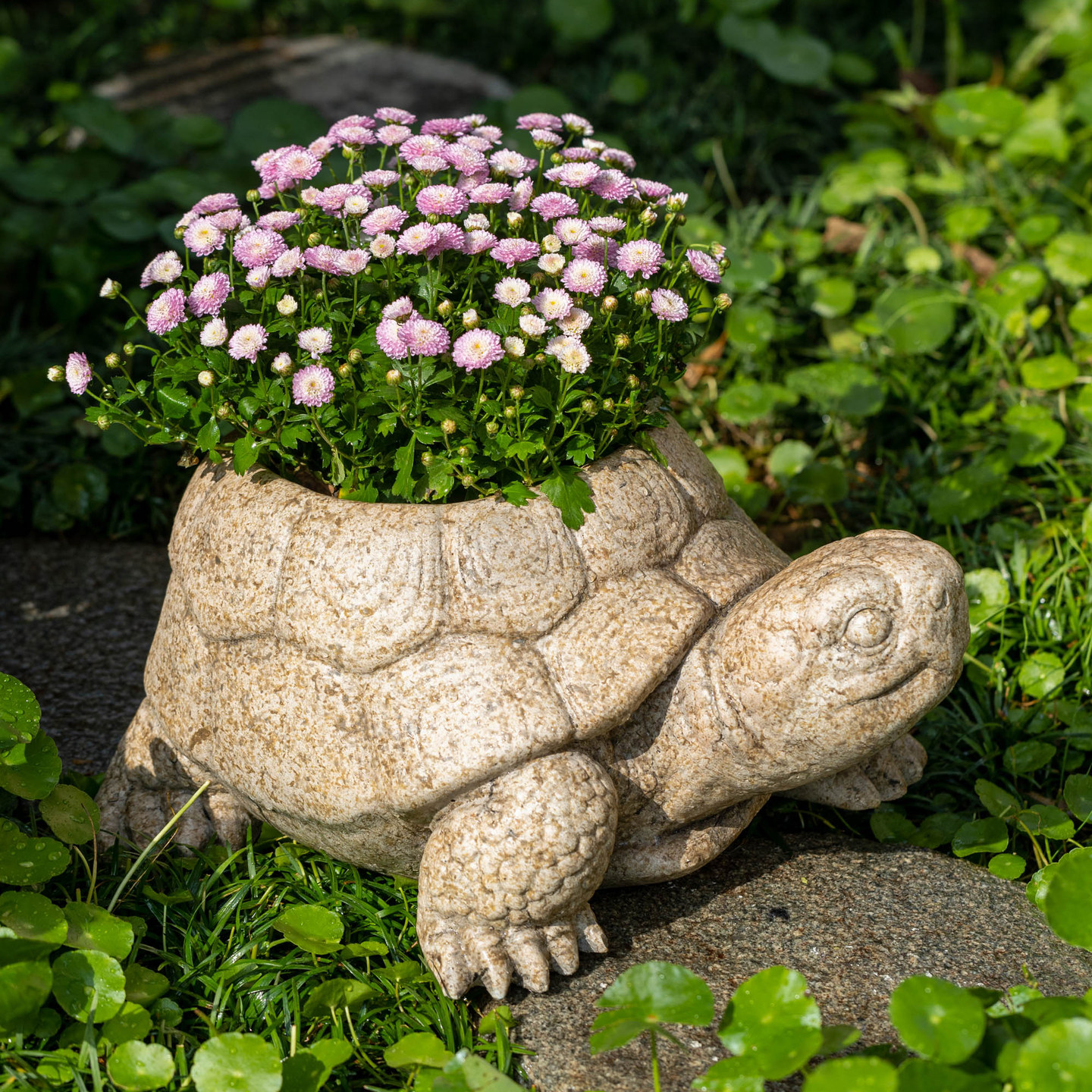 花园装饰石龟摆件户外庭院造景水泥仿石头乌龟花盆仿石雕中式复古,家居饰品,户外/庭院摆件,淘宝优惠券,粉丝福利购,淘宝优惠卷