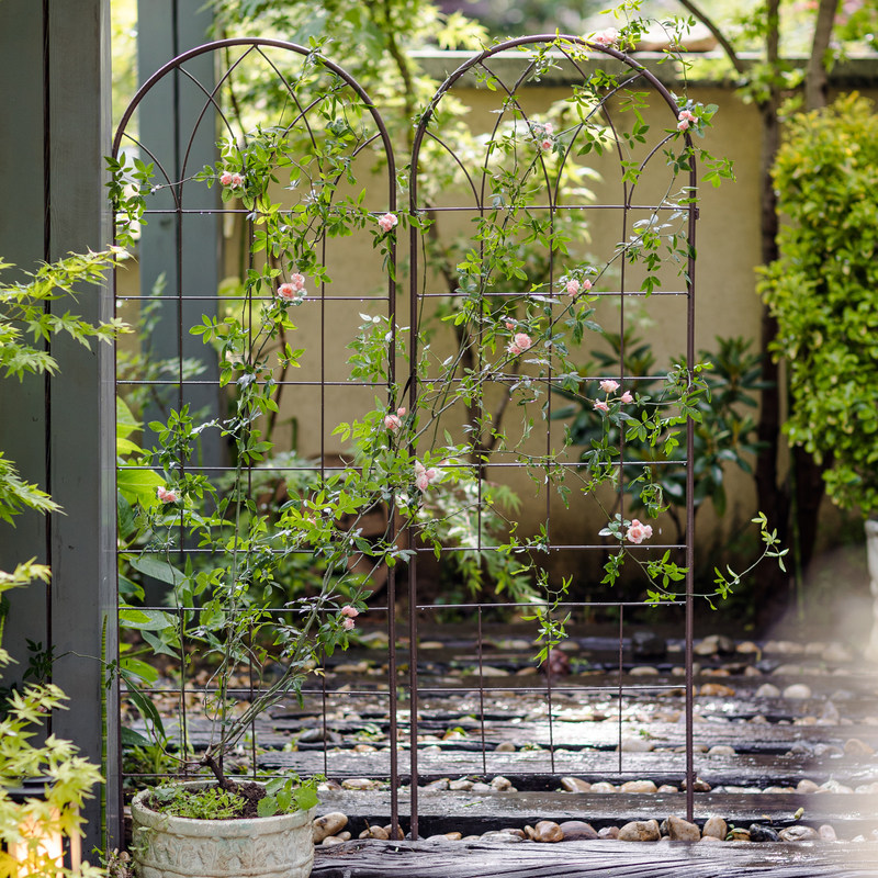 户外铁艺爬藤架花架月季铁线莲爬藤支架花卉支撑杆花园庭院栅栏网,鲜花速递/花卉仿真/绿植园艺,花架,淘宝优惠券,粉丝福利购,淘宝优惠卷