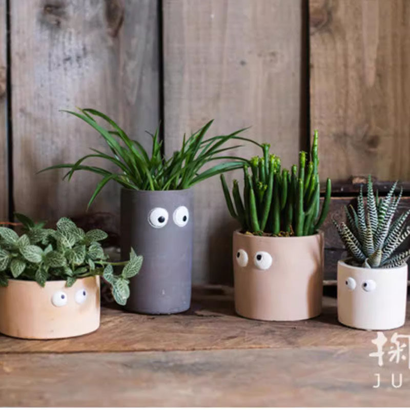 大眼萌创意多肉花盆小号桌面绿植小盆栽阳台窗台肉肉可爱个性卡通,鲜花速递/花卉仿真/绿植园艺,花盆,淘宝优惠券,粉丝福利购,淘宝优惠卷